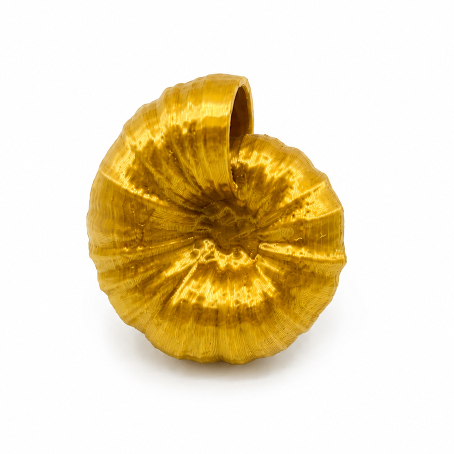 Ammonite Dreams 'Silky Gold' - Statement Ring von Tukadu