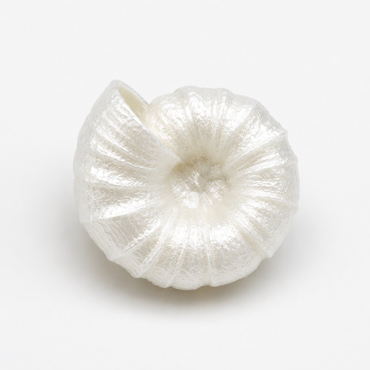 Ammonite Dreams 'Silky Shell White' Ring - Statement Ring von Tukadu
