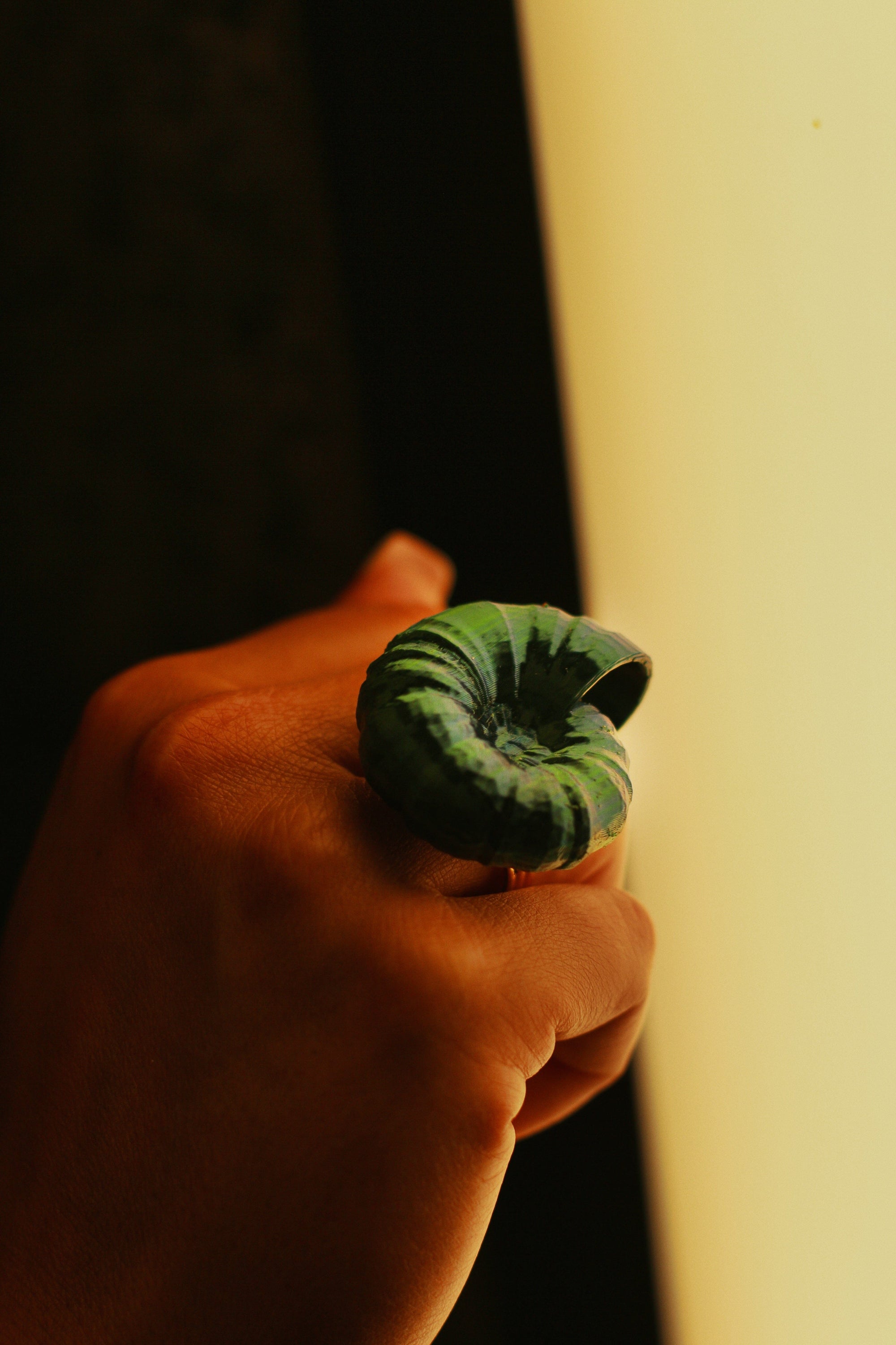 Tukadu Ring 'Ammonite solo'